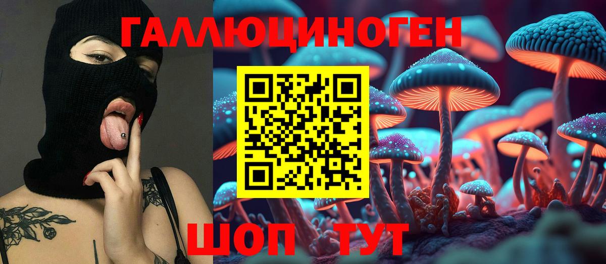 Майкоп  Галлюциногенные грибы мухоморы  купить наркоту  Вход с VPN 